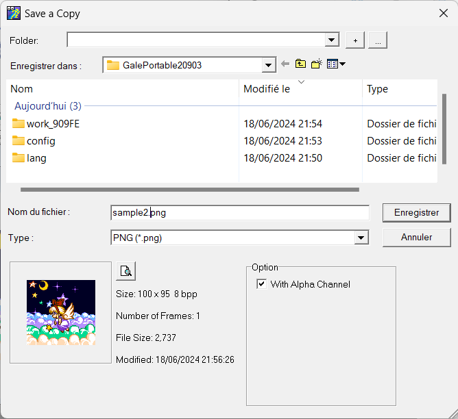 Screenshot of GraphicsGale Save As pop-up